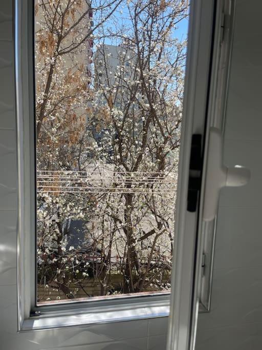 Warm Apartment In The Center Of Tirana City Luaran gambar